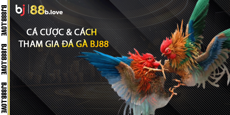 Cá cược & cách tham gia đá gà BJ88